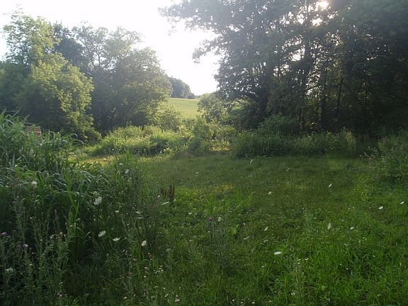 Looking SW near center lot