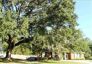 1st image of 6845 Canopy Grove Ln