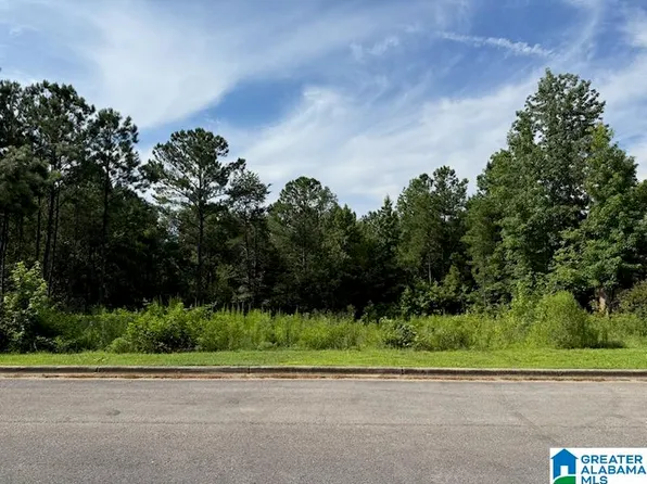 3029 Long Branch Dr Lot 167, Calera, AL 35040