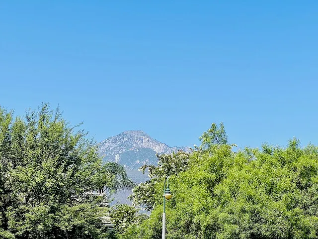 1254 Scenic View St — Photo 5