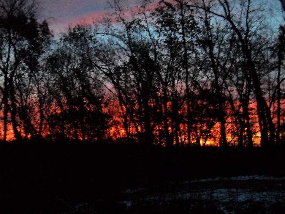 January Four Degrees 