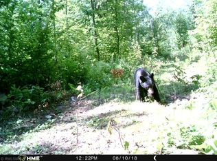 85 Street Clam Fls, Frederic, WI 54837