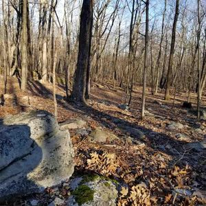 Tbd Cox Rd, Wurtsboro, NY, 12790