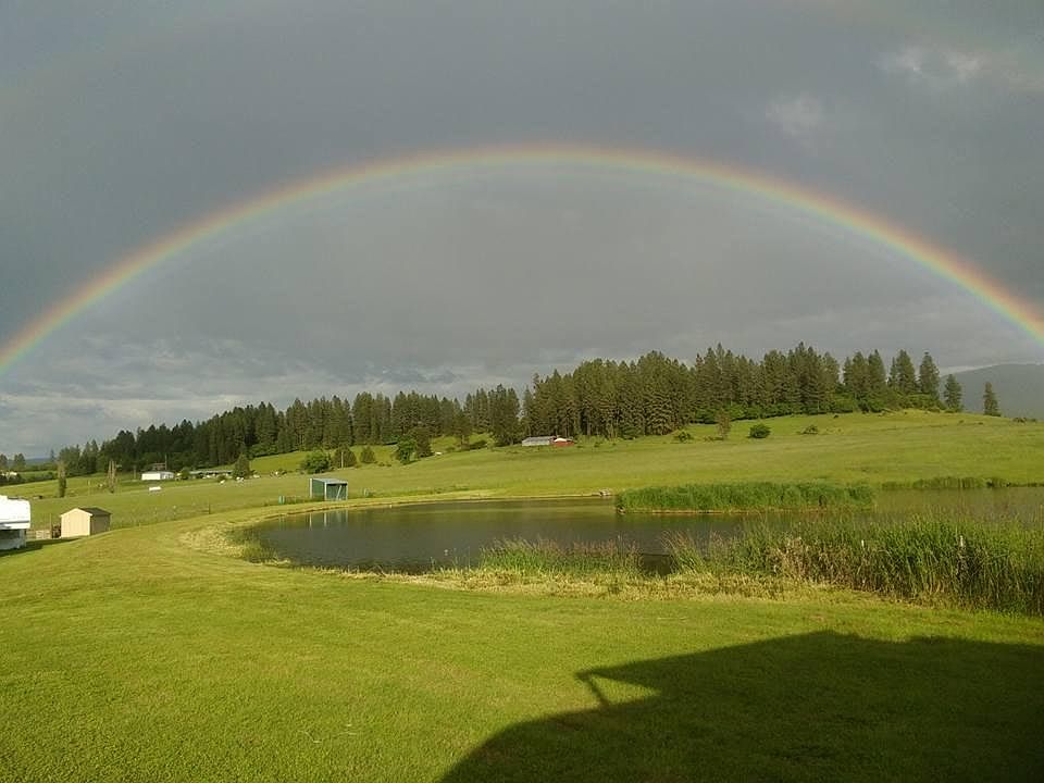 View from the back deck