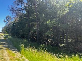 PARCEL 4 N M 37, Irons, MI 49644