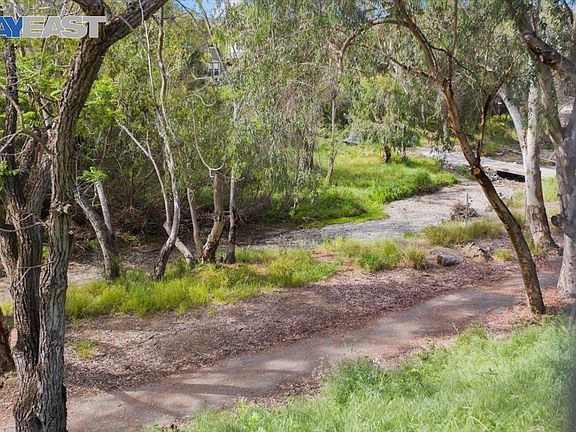 This is the creek view from property