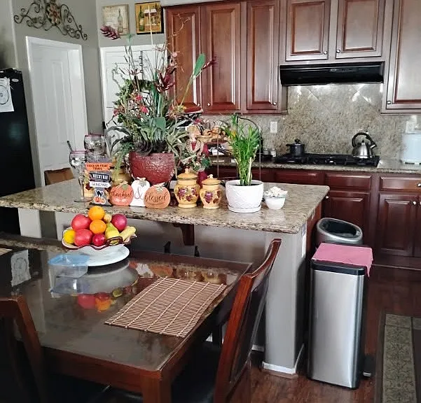 28837 Evening Passage Dr — Photo 11