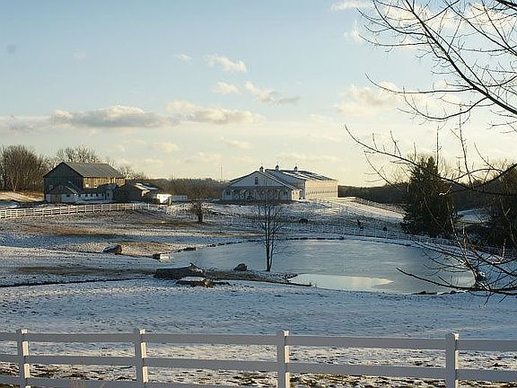 winter view