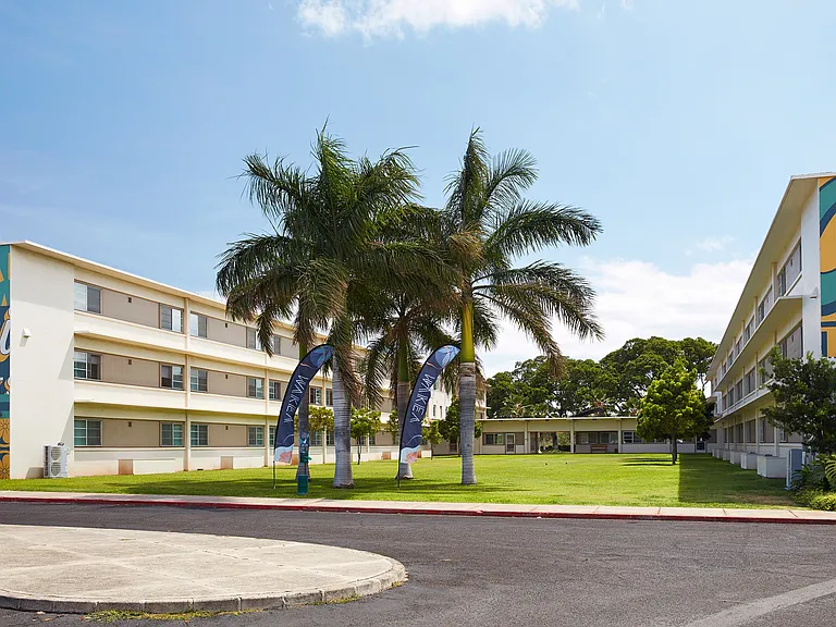 WakeaGardens_Exterior_GrassyCourtyardAndPalmTrees