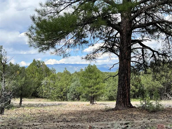 LOT 56a Parkview Hls, Los Ojos, NM 87551