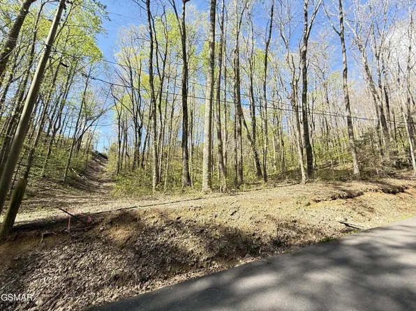1440 Laurel Rd Lot 2, Gatlinburg, TN 37738