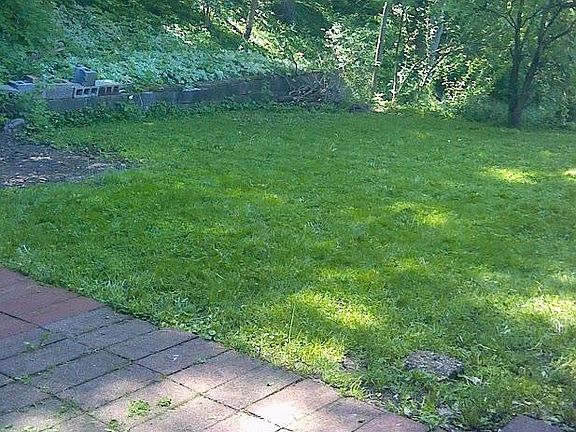 Back yard & patio