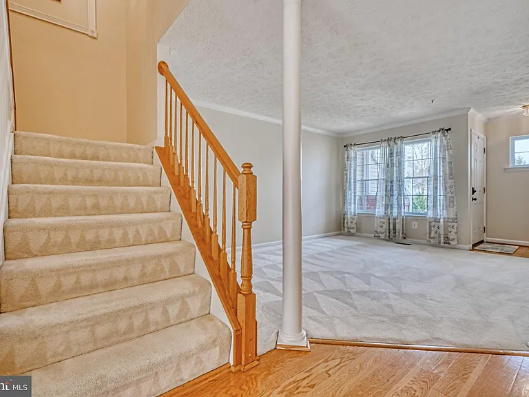 206 Colgate Dr — Photo 9