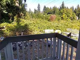 Back steps/back of property