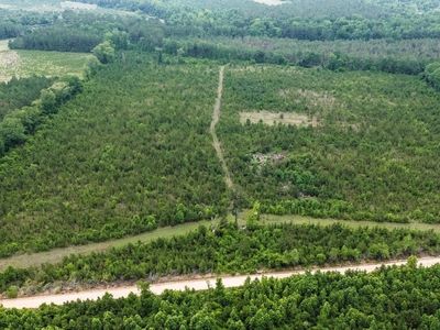 0 Adams Hammock Rd, Lyons, GA, 30436