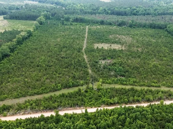 0 Adams Hammock Rd, Lyons, GA 30436