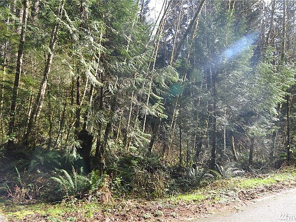 2nd image of 17 Pinto Creek Ln