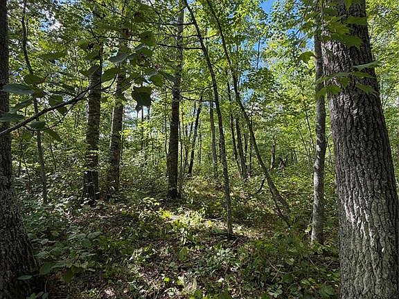 5th image of 0 Shell Creek Road