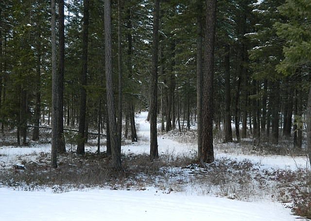2nd image of 5443 Old Priest River Rd
