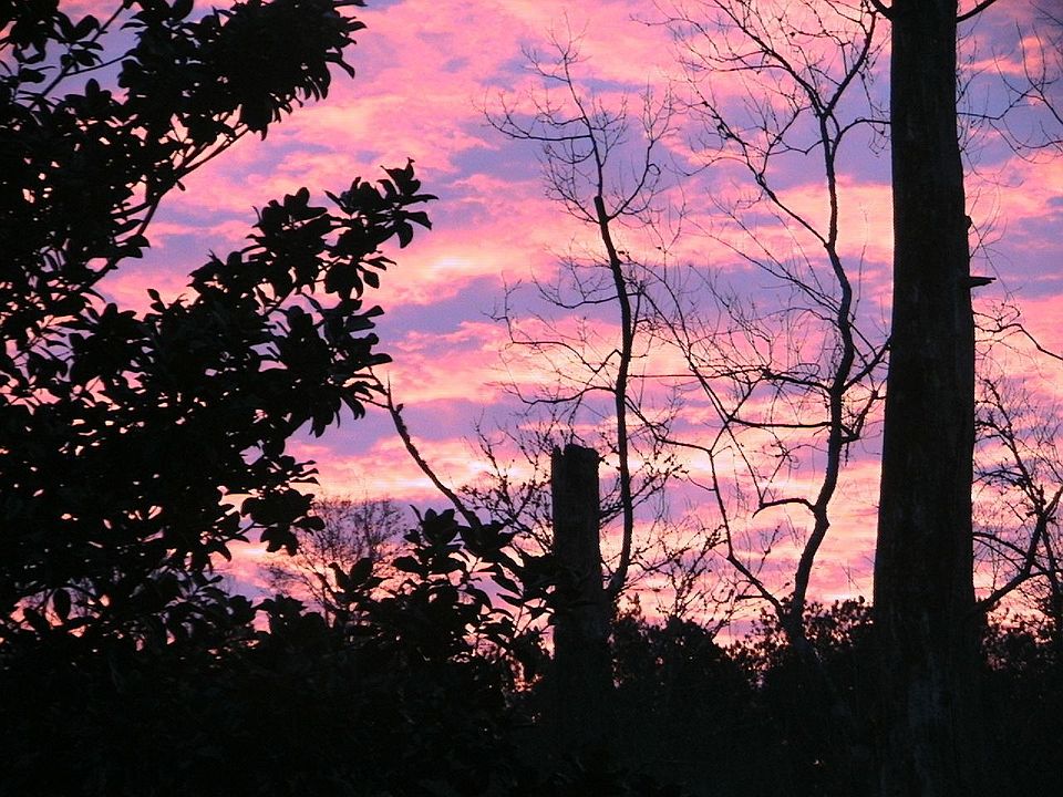 sunset in backyard