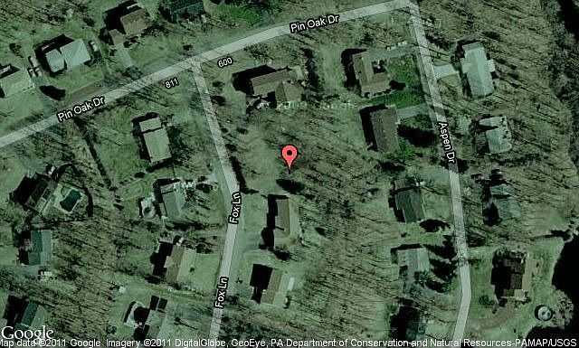 Map View