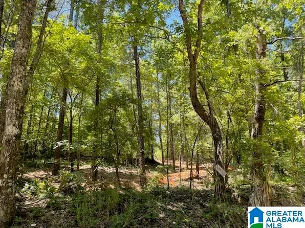 0 Bama Rock Garden Rd #1, Vance, AL 35490