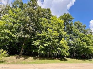 Reserve Dr, Medina, OH