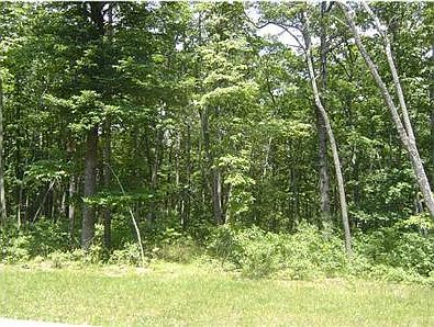 2nd image of 426 Horseshoe Bend Rd E