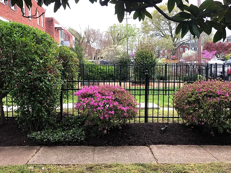 Exterior - Fence - Landscape