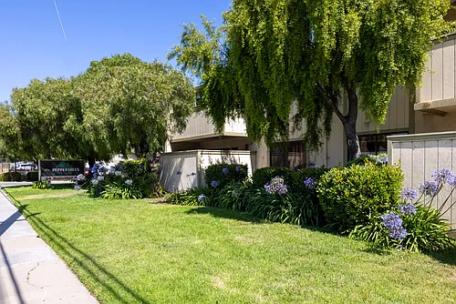 The Peppertree Apartments Photo 1