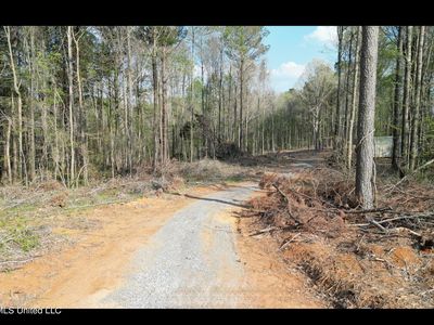 1961 Alton Graham Rd, Conehatta, MS, 39057