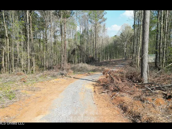 1961 Alton Graham Rd, Conehatta, MS 39057