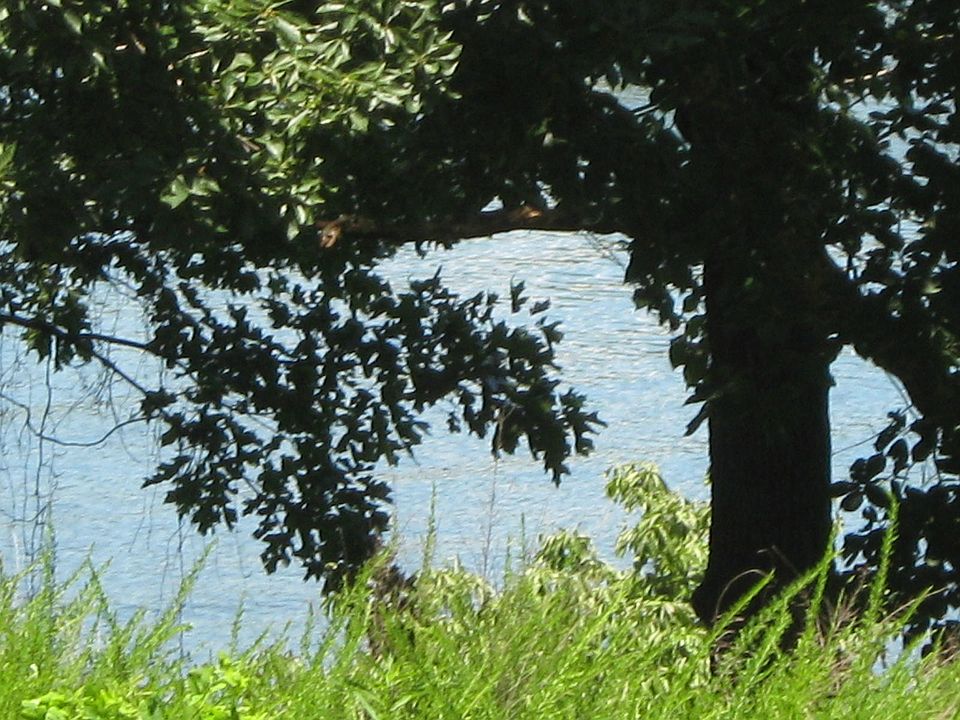 2nd image of LOT 4 E 319th Trl