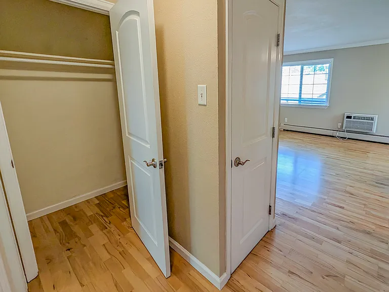 Hallway walk-in closet and pantry
