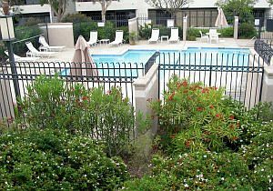 5th image of 950 Cagney Ln APT 105