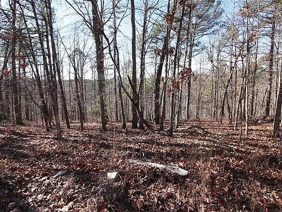 5th image of 11787 Stone Pine Ct