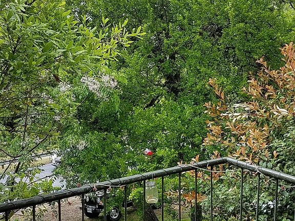 View North from Balcony