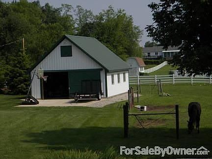 Barn and a barn resident.