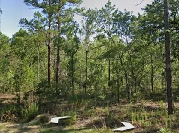 1918 County Road 243 Lot C-7, Wildwood, FL 34785