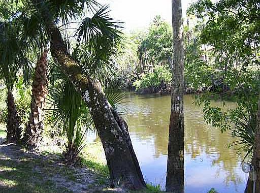 Home For Sale In Raintree Forest