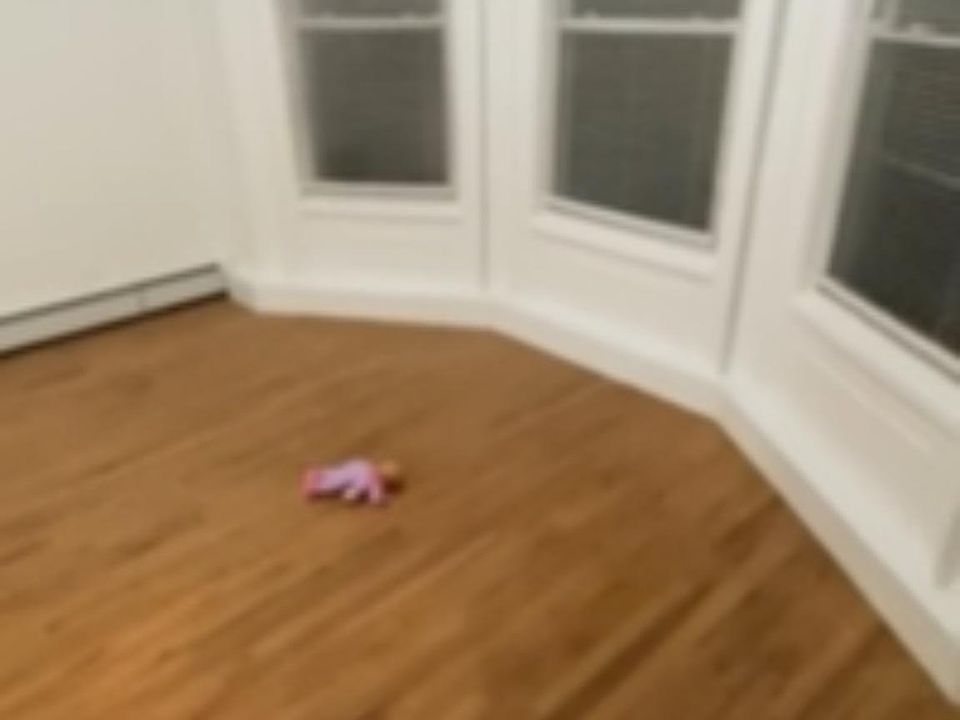 1st image of 239 Kimball Ave #1