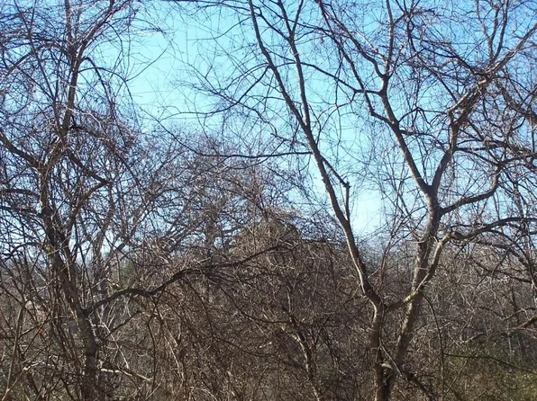 Lost Village Ln, Vonore, TN 37885