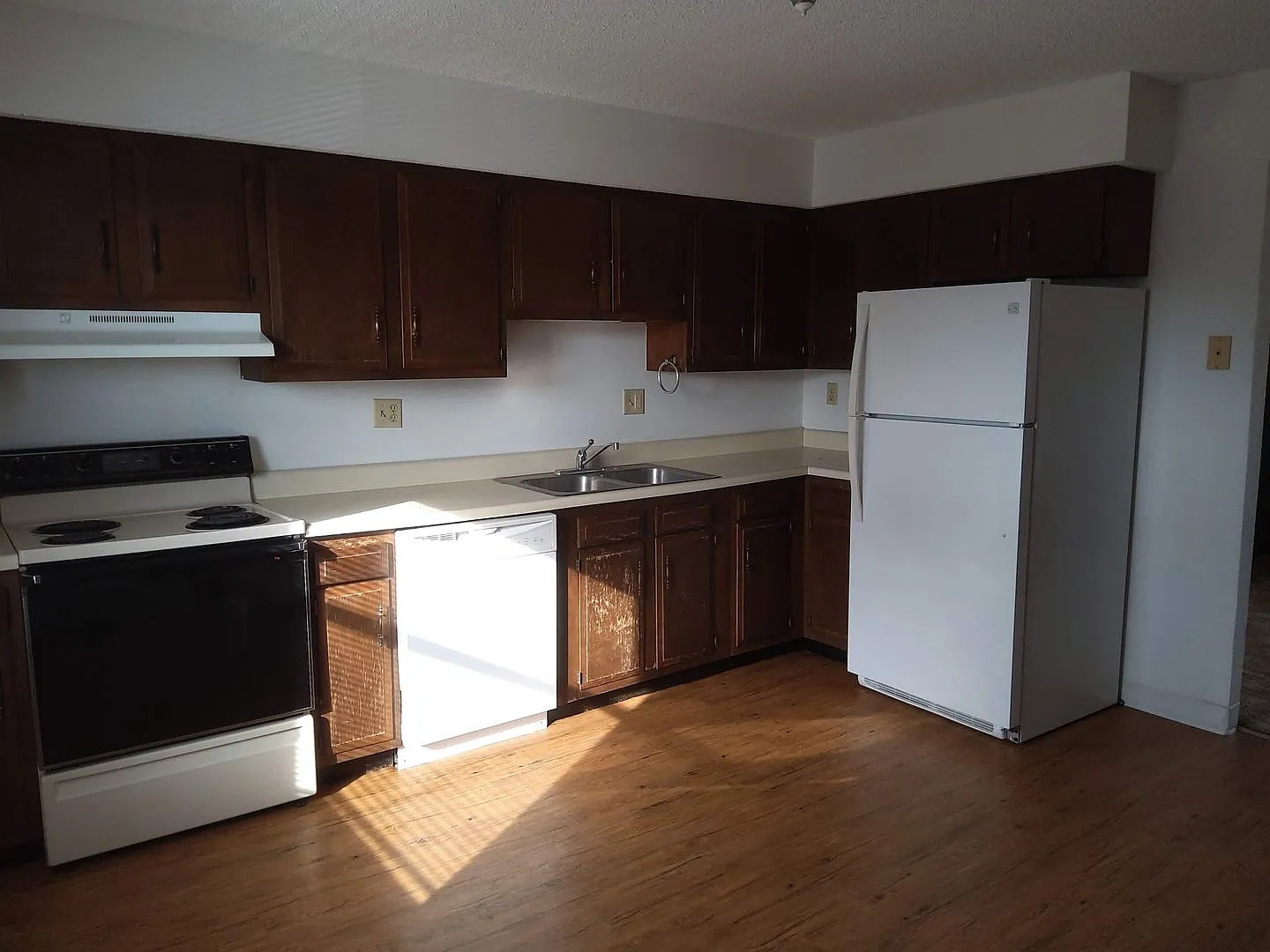 MIMOSA 3009 — Photo 2