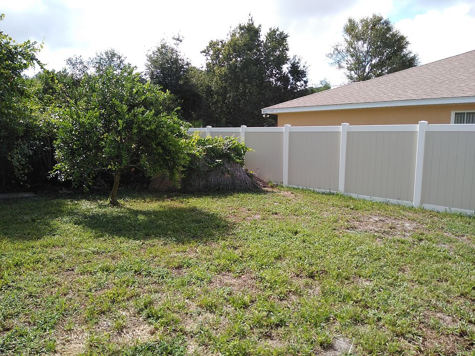 Fenced yard.Citrus Tree.