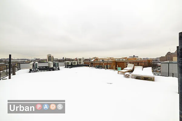 Rented by Urban Pads | media 76