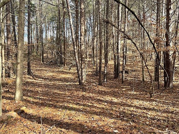 4th image of LOT 740 Fairway Ln