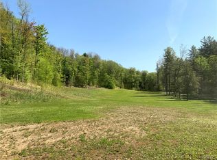3950 Shuetown Rd, Lyons falls, NY 13368