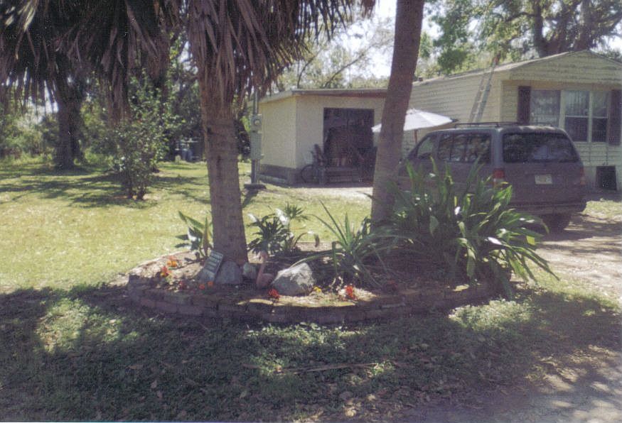 Outside with palm island