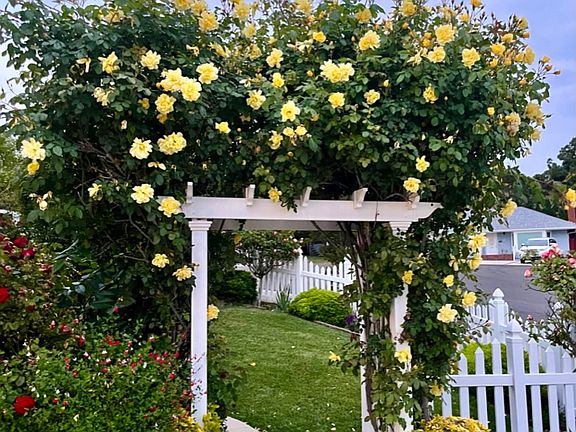 Entrance Arbor