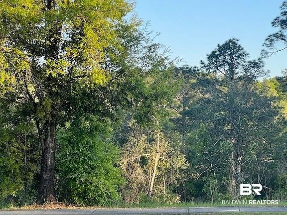 5th image of 8319 Pine Run
